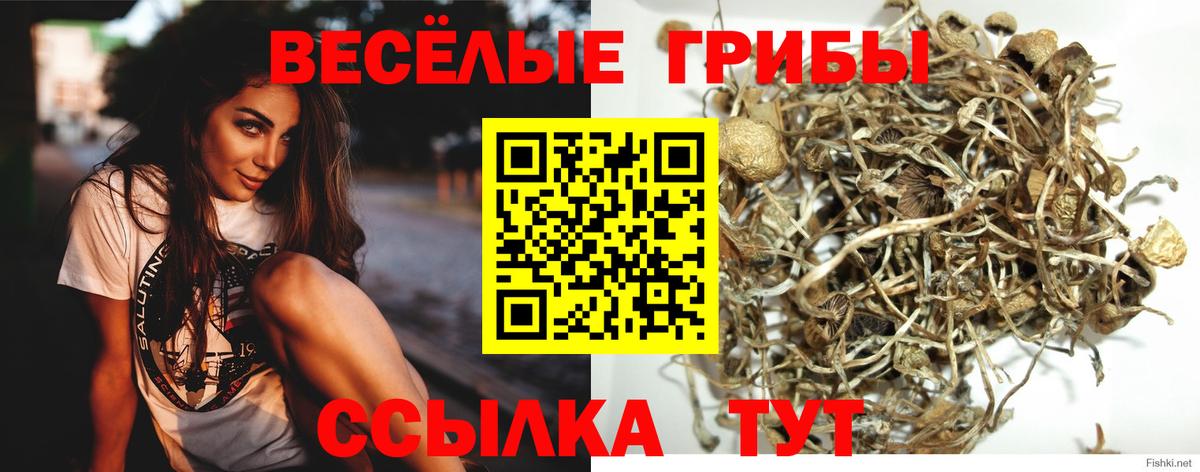 Галлюциногенные грибы мицелий Зеленогорск